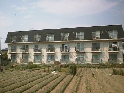 タイトル２４　 203